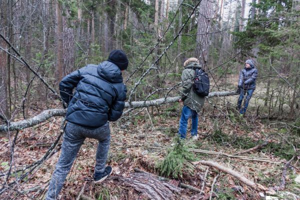 Нажмите, чтобы посмотреть в полный размер