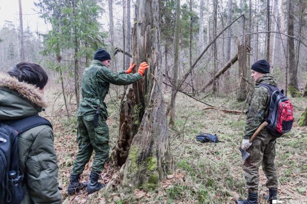 Нажмите, чтобы посмотреть в полный размер